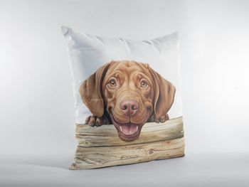 P-8649-wirehaired vizsla